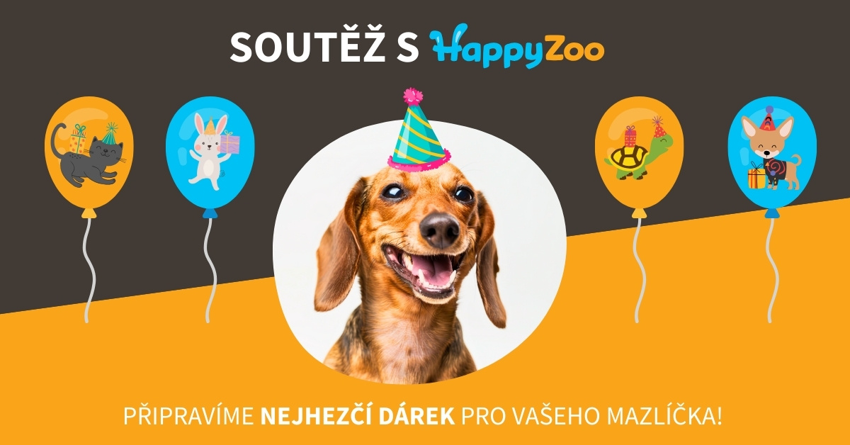 blog_narozeniny